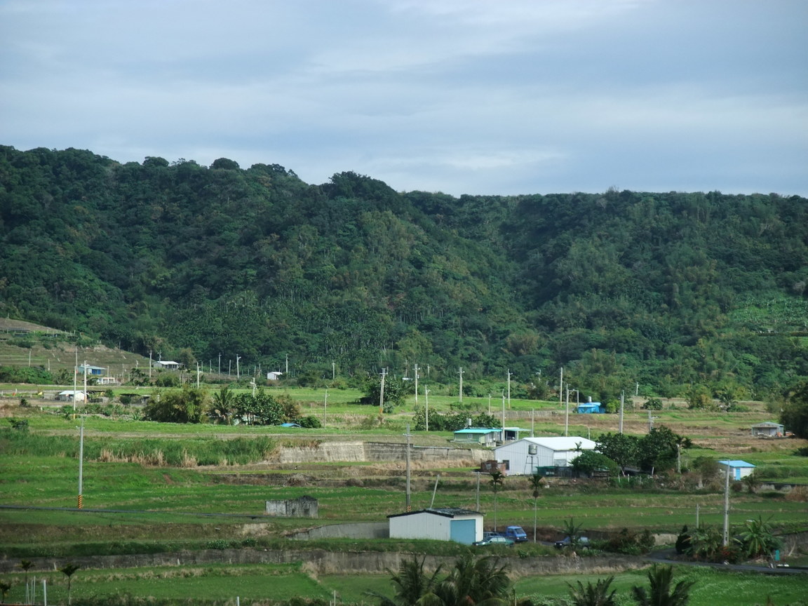 電線杆比房舍高的村落