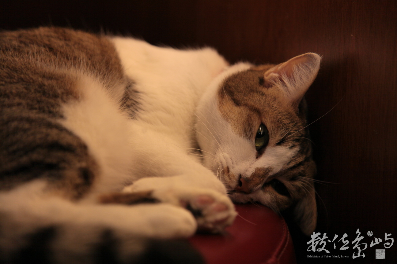 2012年0630台北_47