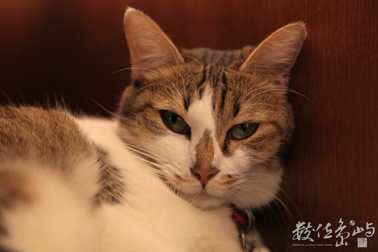 2012年0630台北_49