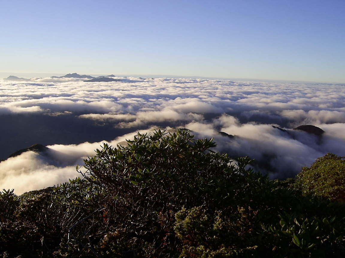 大劍山雲海