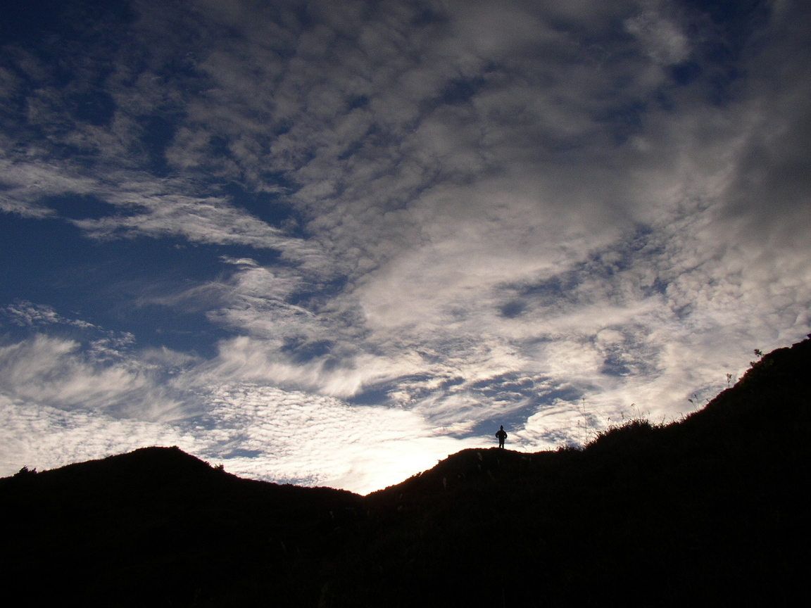 能高安東軍山緃走--天地人