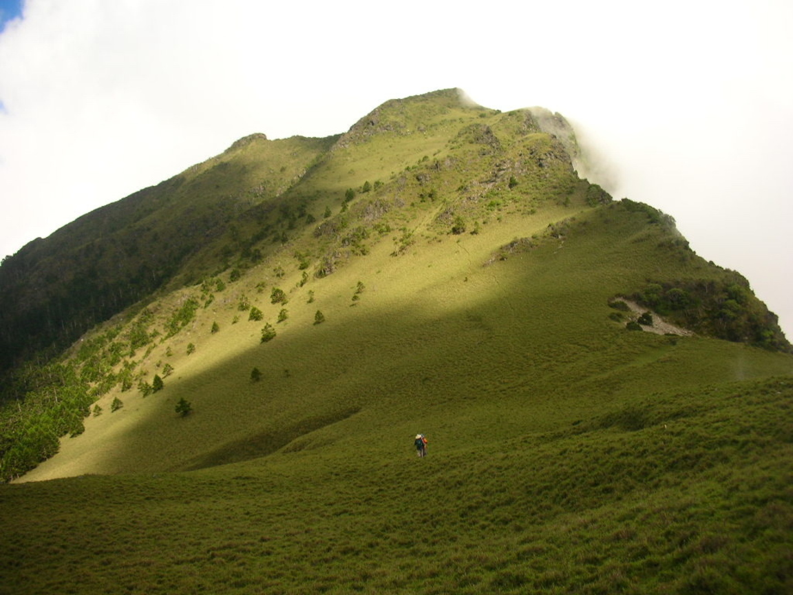 東巒大山草坡