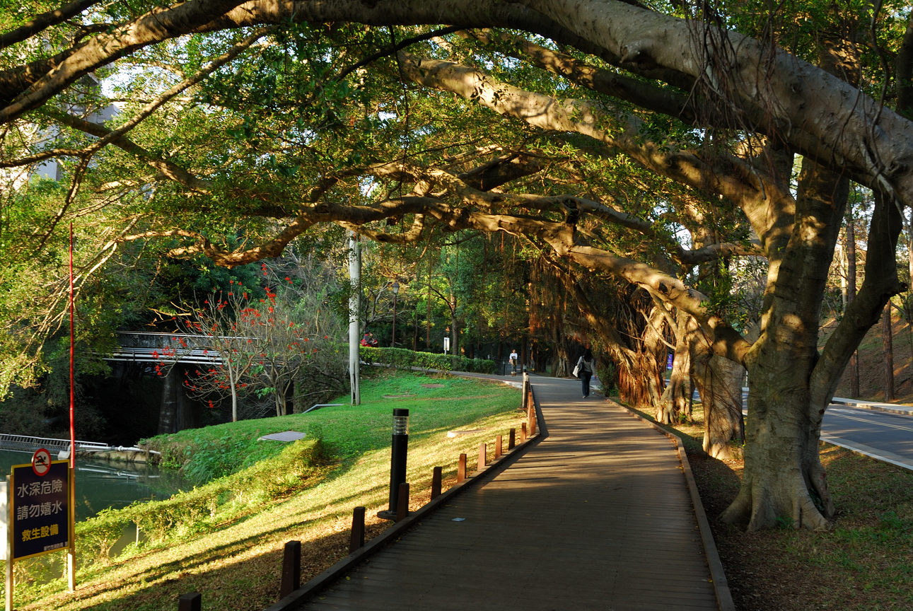 新竹市東區-清華大學校園
