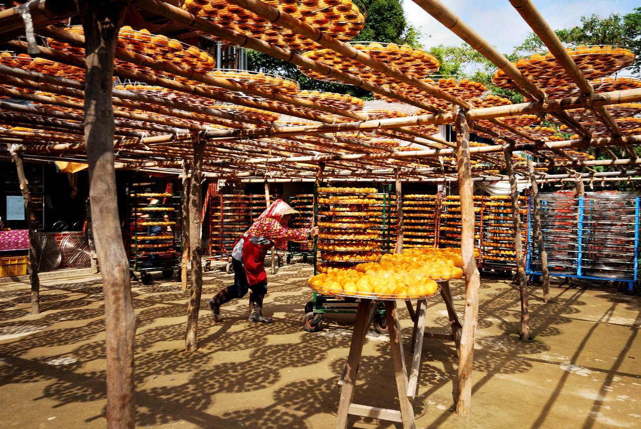 新竹縣新埔鎮-曬柿餅