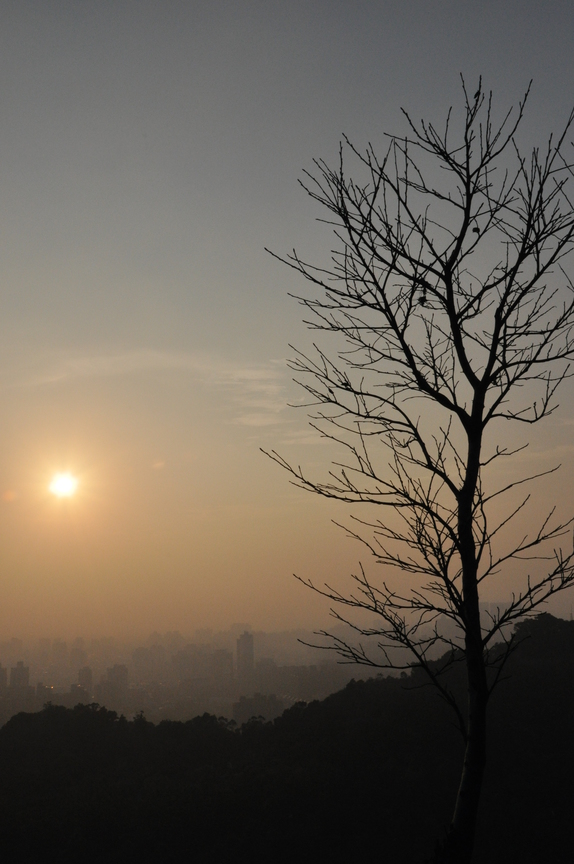 虎頭山環保公園
