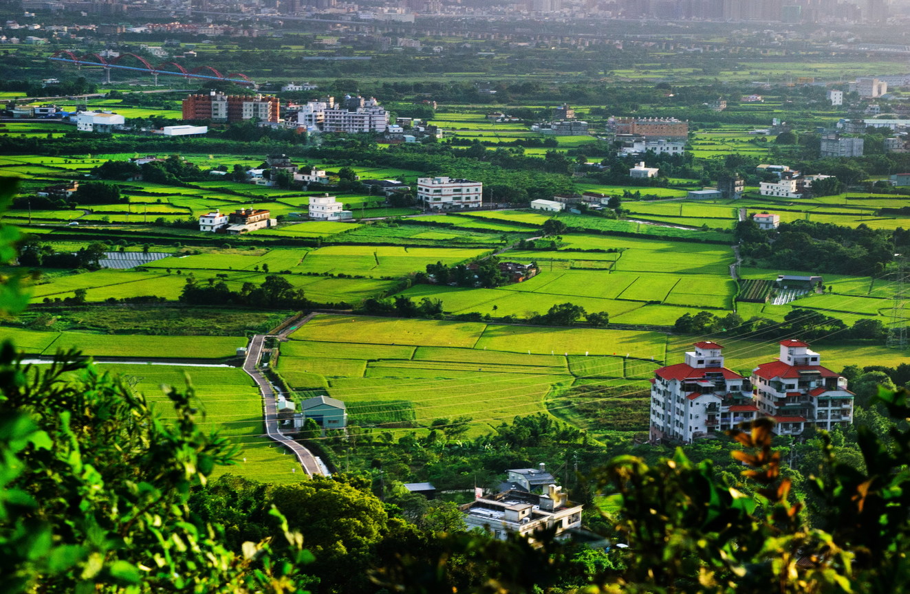 新竹縣芎林鄉－田野風光