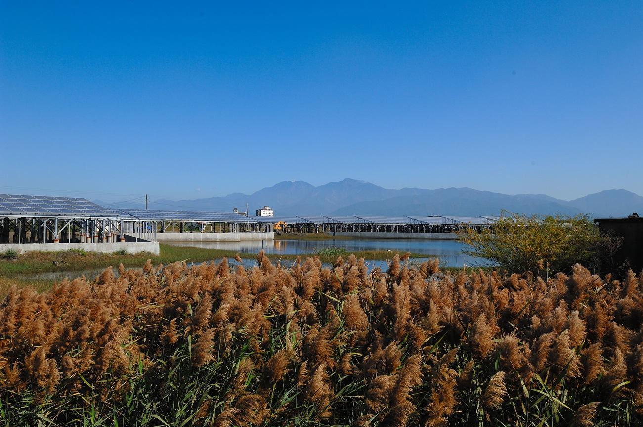 屏東縣林邊鄉-養水種電