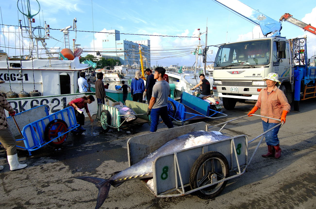 屏東縣東港鎮-東港鮪魚祭