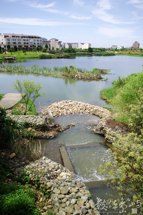 桃園縣中壢市_青塘園