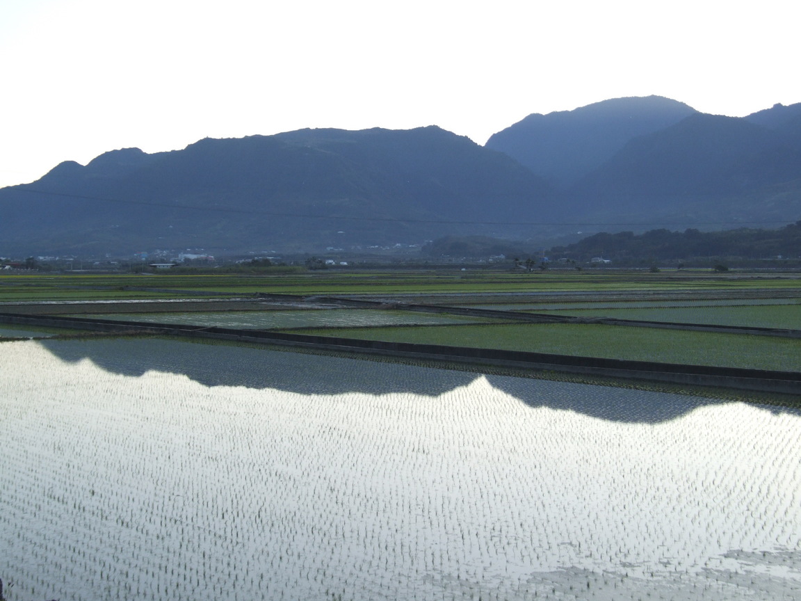 富里村的沈靜