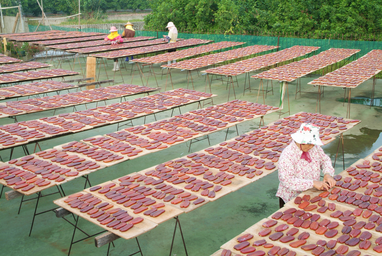 屏東縣林邊鄉-曬油魚子