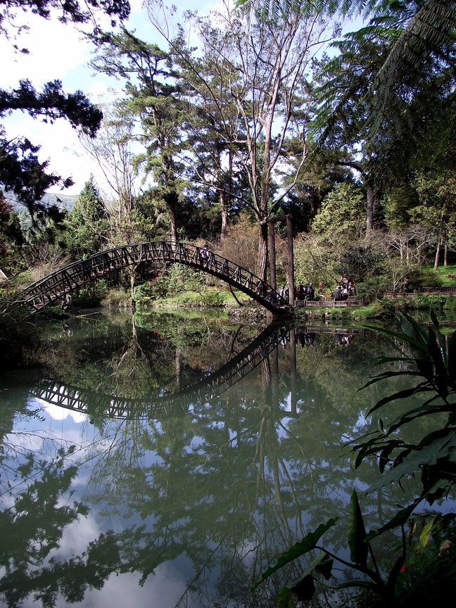 南投縣鹿谷鄉－溪頭大學池