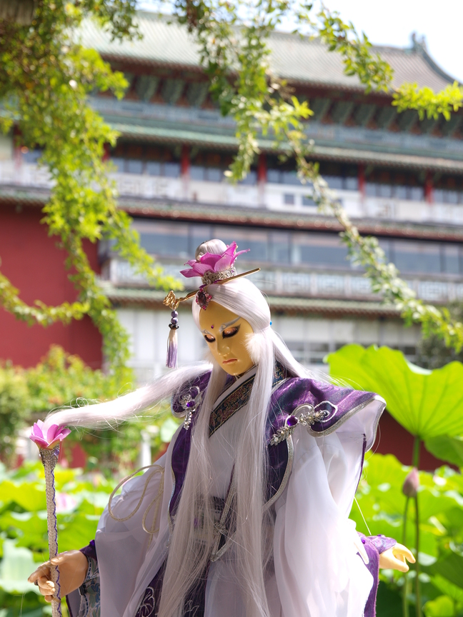 台北市中正區─台北植物園荷花池