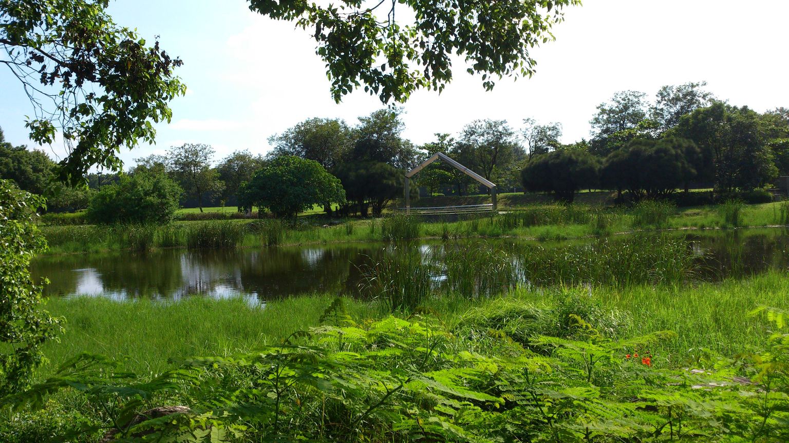 高雄市楠梓區-高雄都會公園