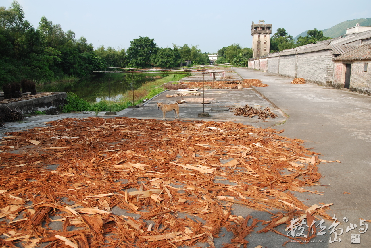 中國采風-廣州開平雕樓 常民生活/陳旺展 2012年拍攝