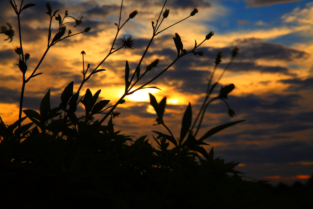 屏東縣潮州鎮-河堤餘暉