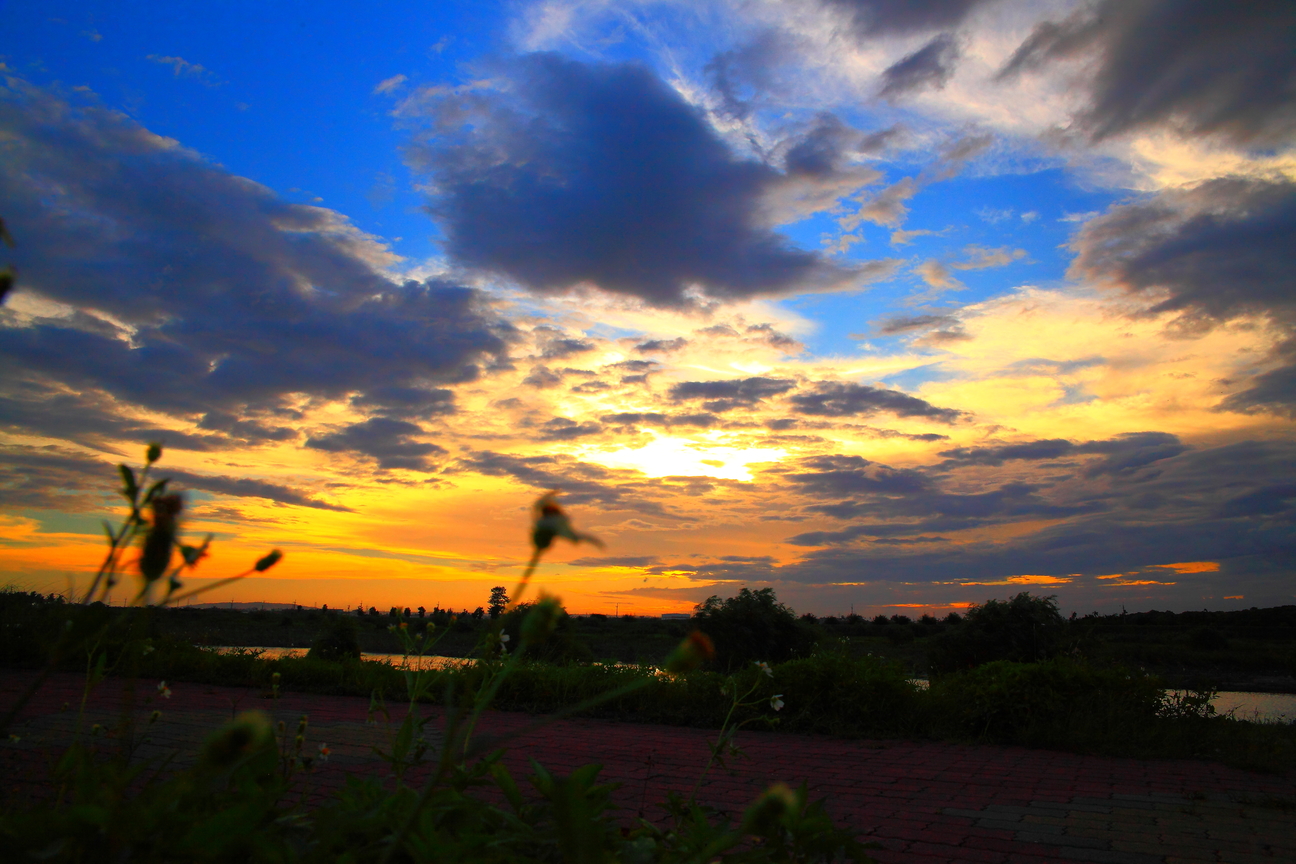 屏東縣潮州鎮-河堤餘暉