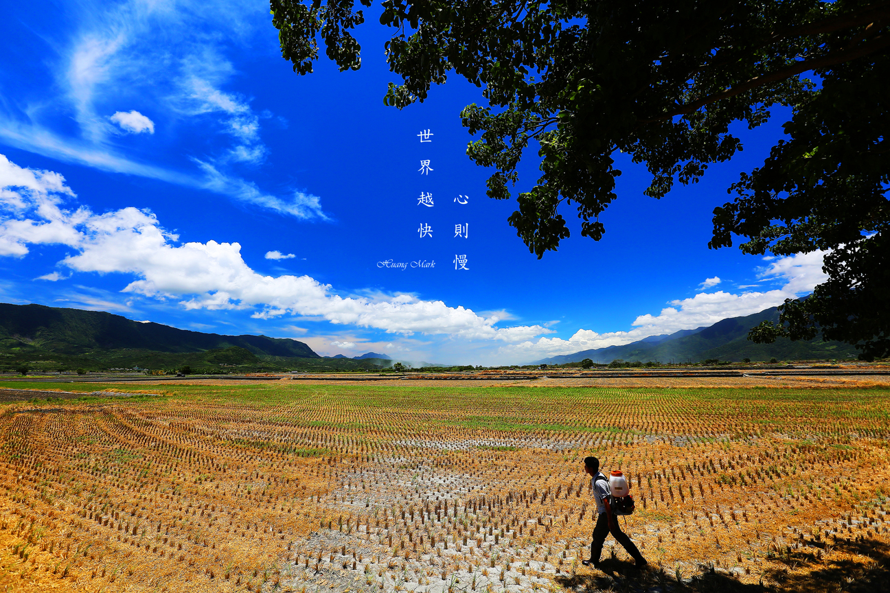 世界越快，心則慢。