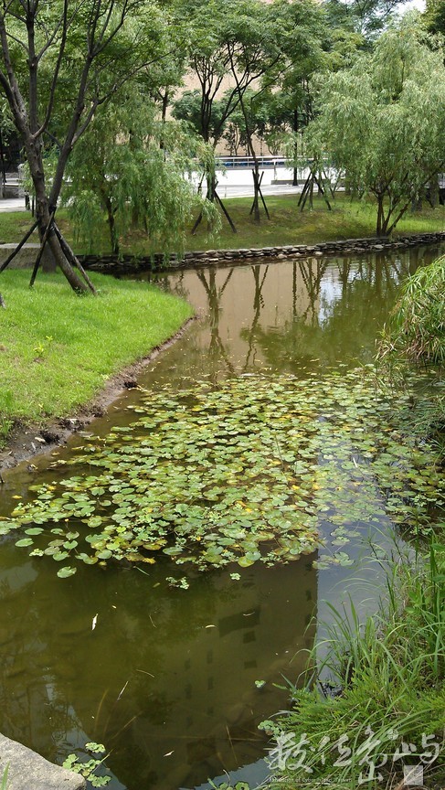 2014年0619台北_09