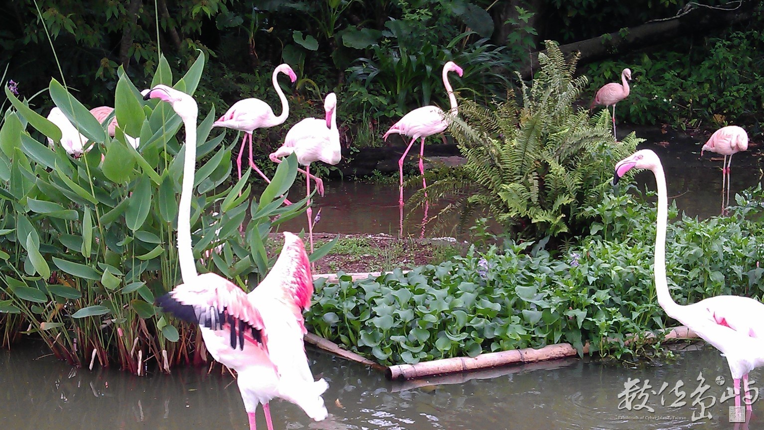 2014年0522台北(動物園)_04
