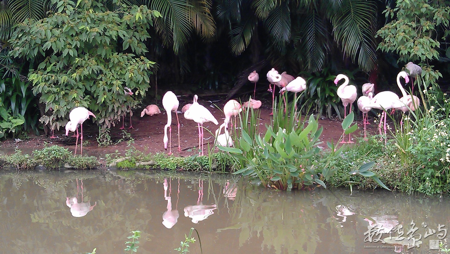 2014年0522台北(動物園)_02