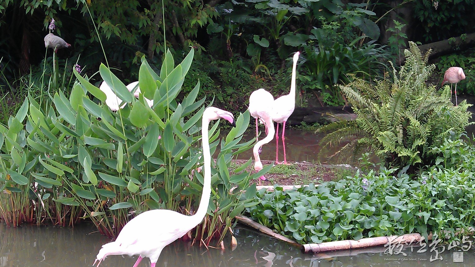 2014年0522台北(動物園)_03