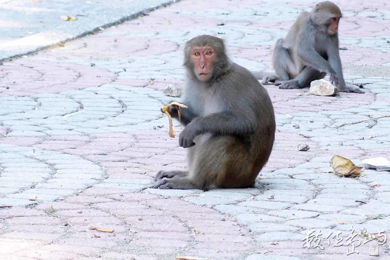 20141015拍攝於登仙橋006