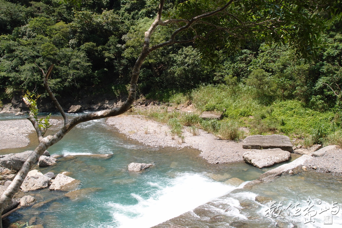 20130906拍攝於雙流森林公園029