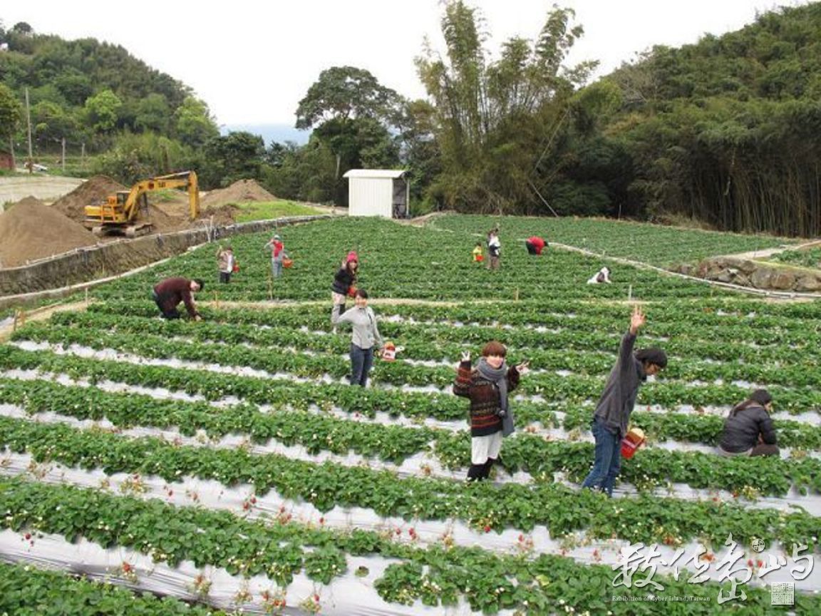 這裡種植的蔬果擁有得天獨厚的美味與品質