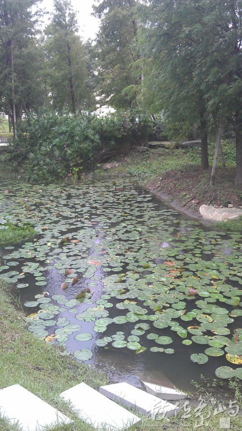 2014年1001台北_05