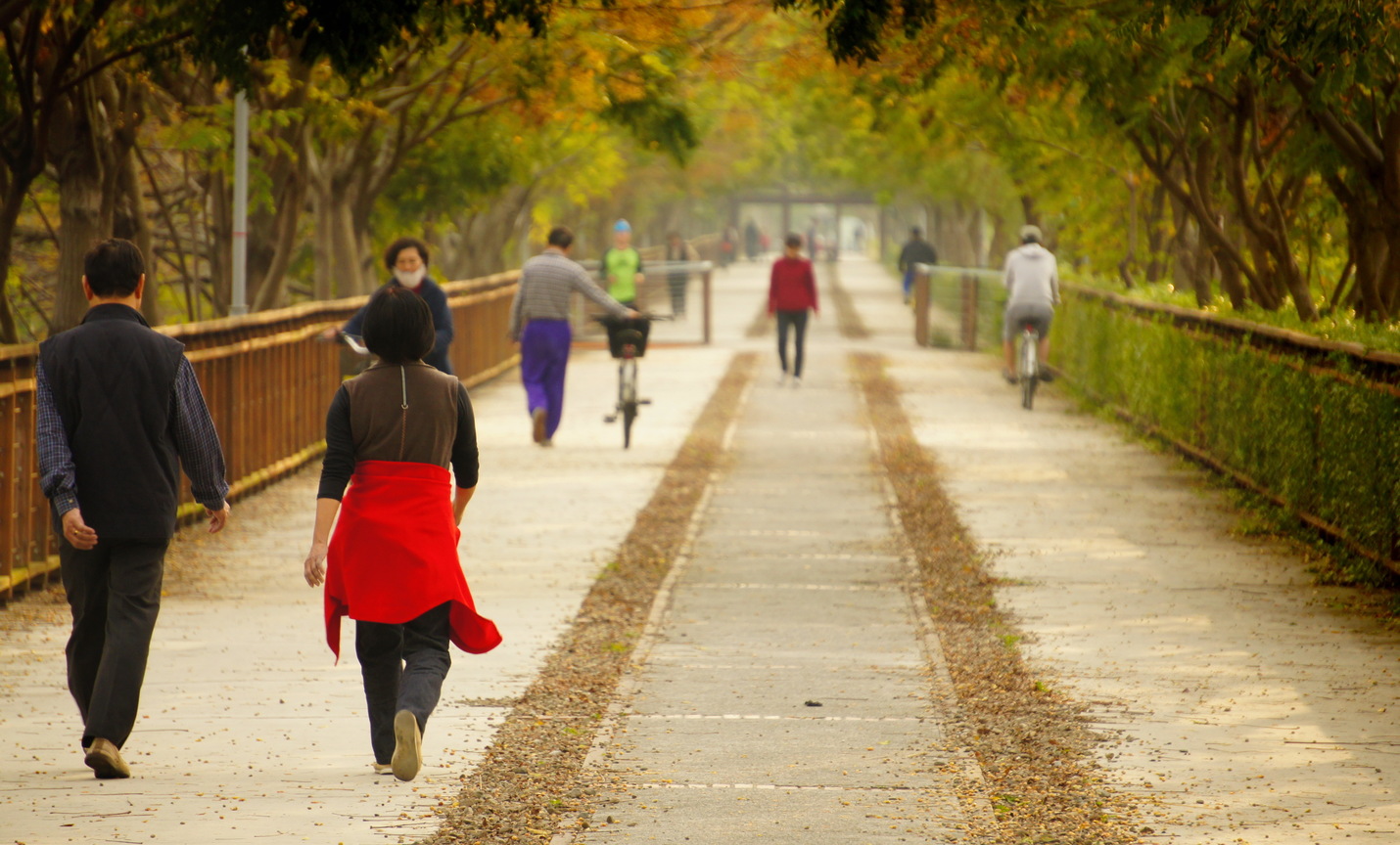 漫步嘉油鐵馬道