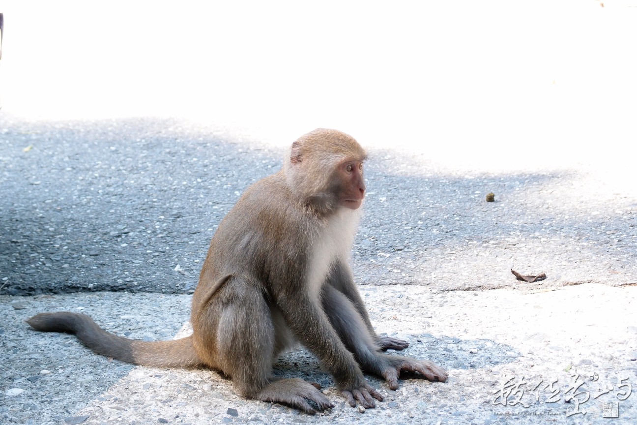 20141015拍攝於登仙橋010