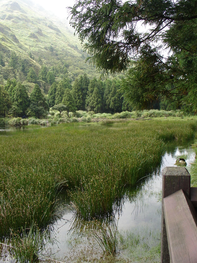 夢幻湖