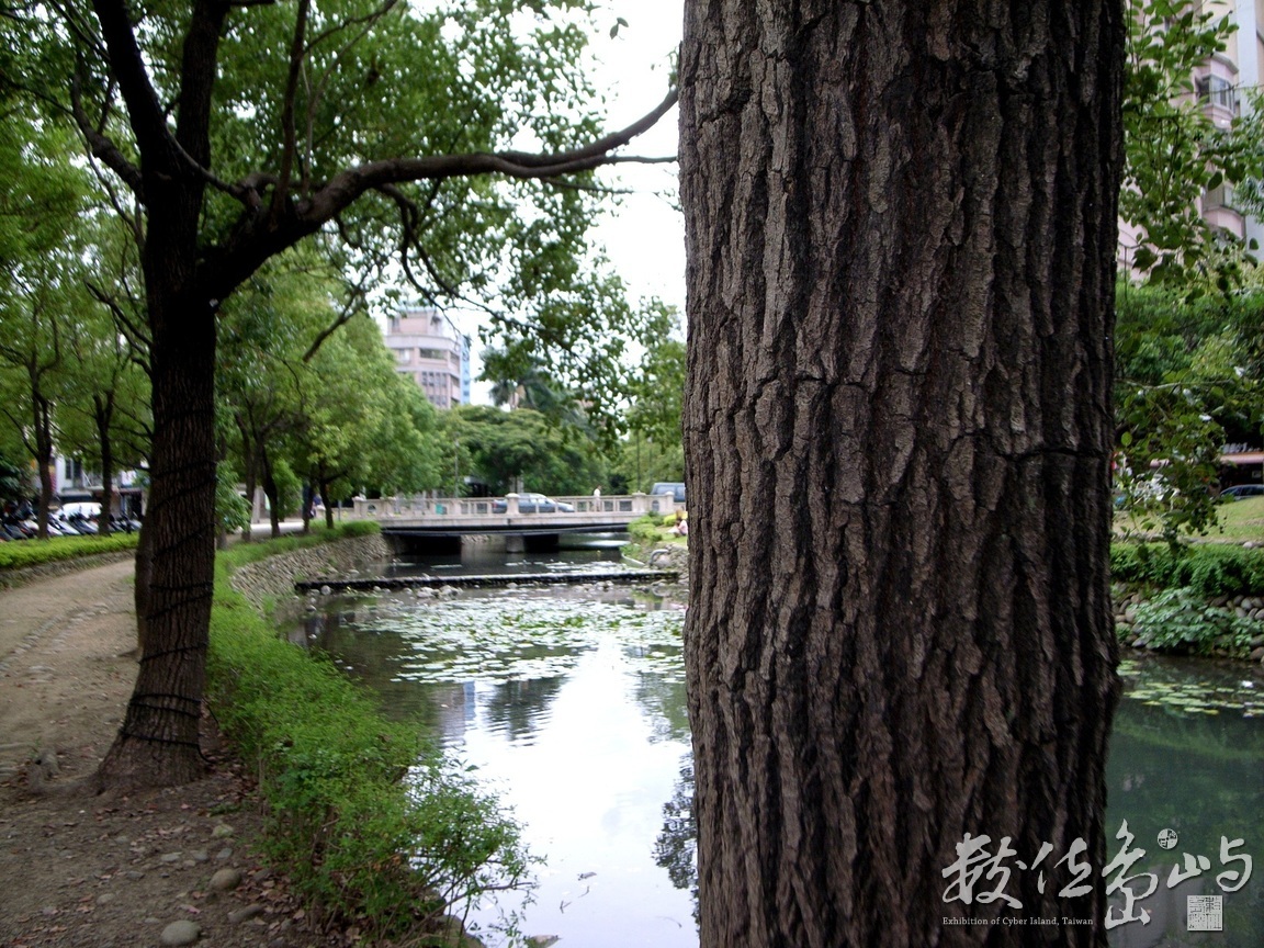 新竹市護城河