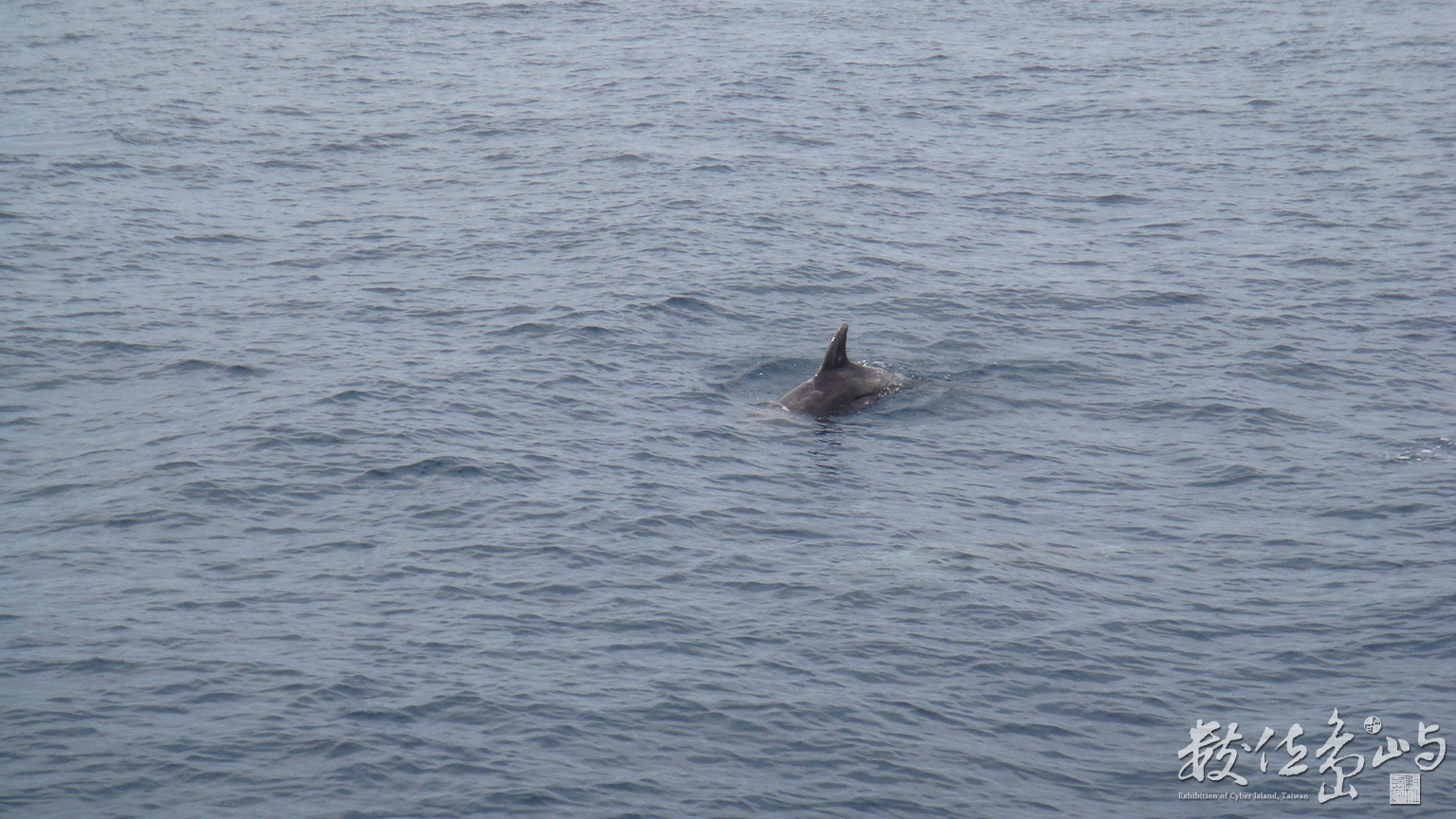 龜山島(不是會聚)2
