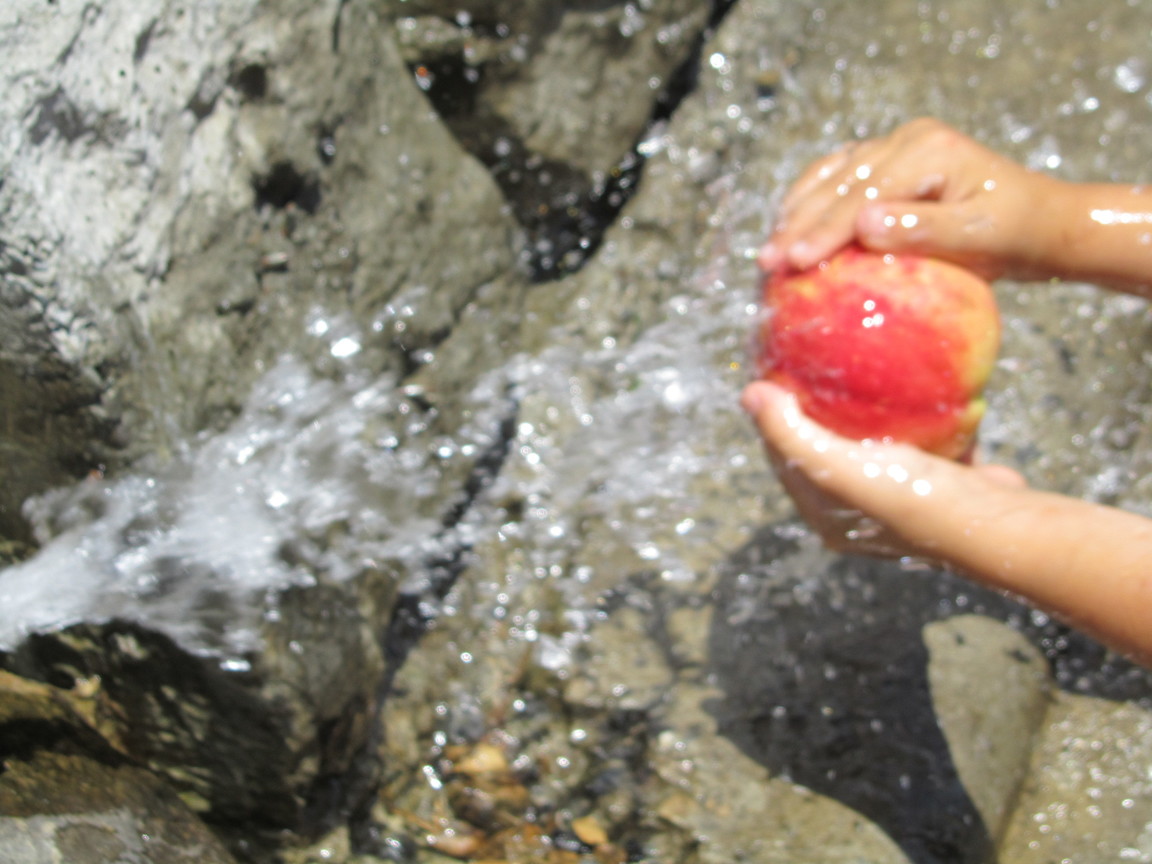 水蜜桃之鄉