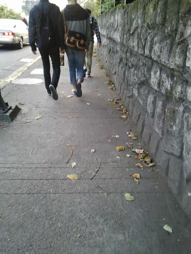 每天必經的人生大道