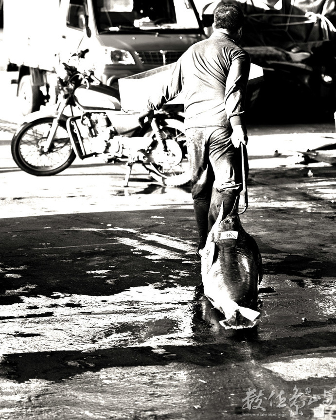 成功魚市場(6)-滿載而歸