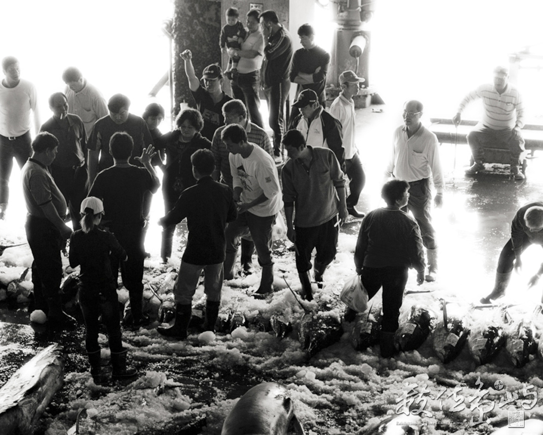 成功魚市場(3)-競標喊價