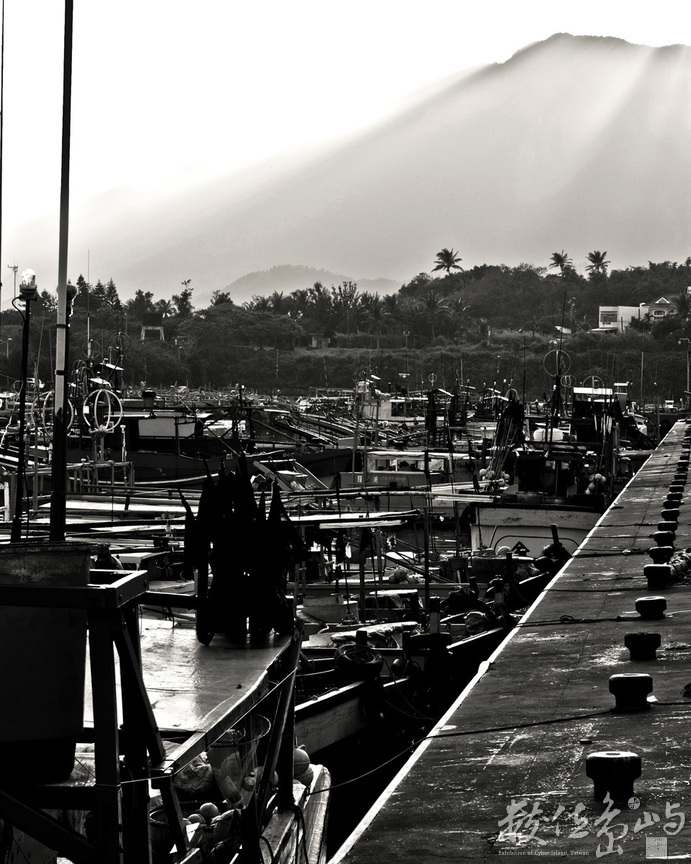 成功魚市場(1)-漁港風情