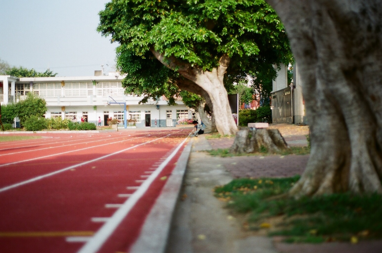 因為他們玩球都作弊 所以我不想跟他們玩!