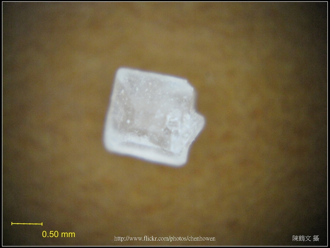 一顆方糖的顆粒