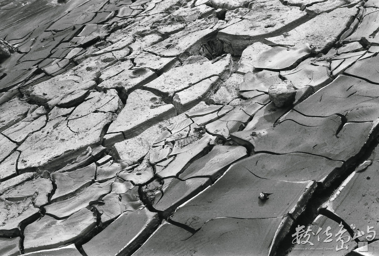 潮汐來到的日子之於夕陽之間-04