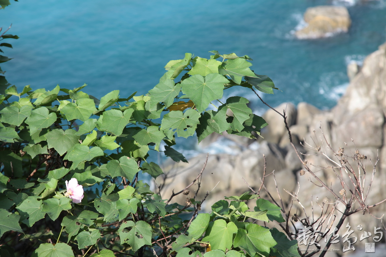 2010年0528環島135