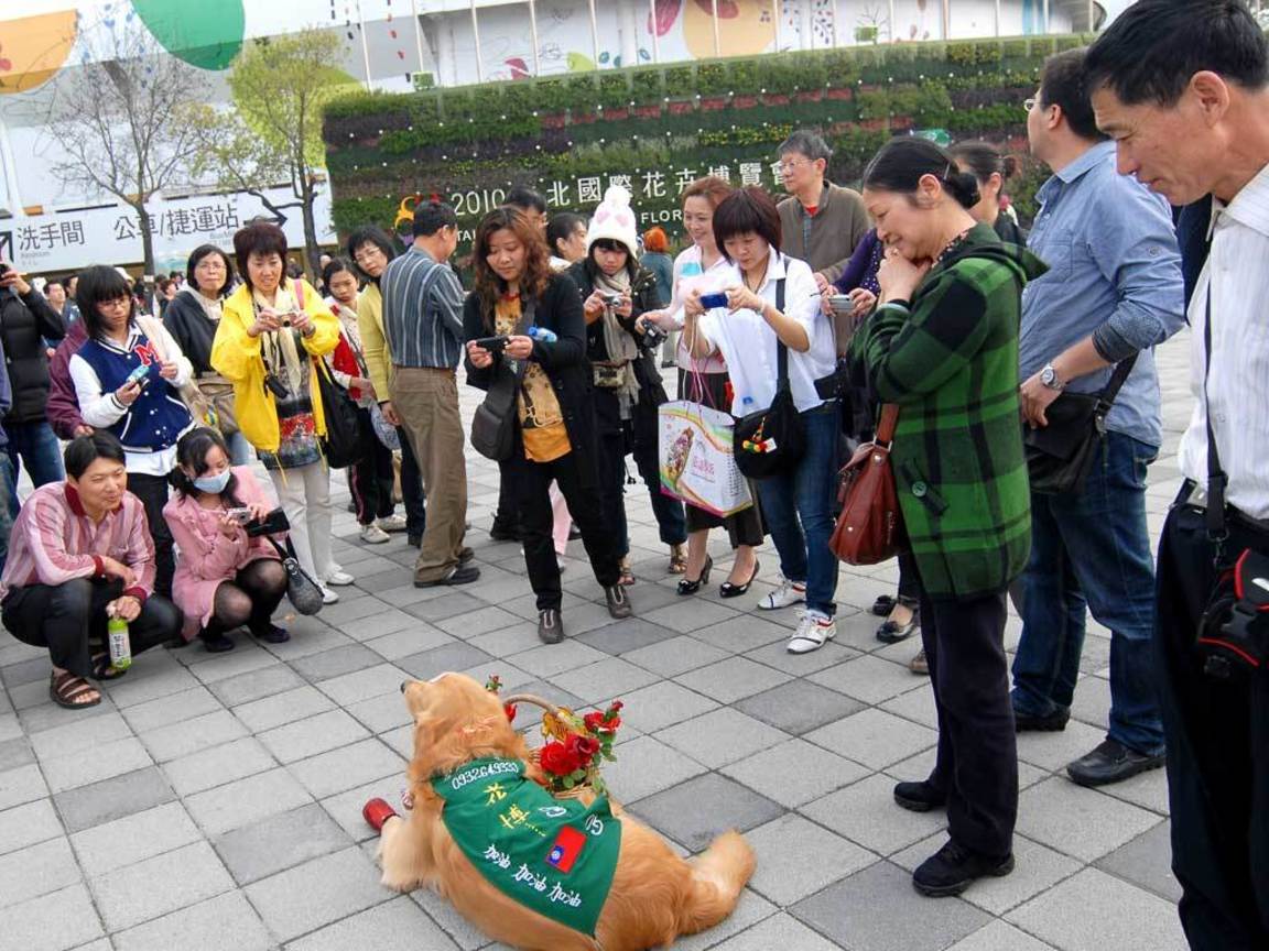 瘋花博不分你、我、「它」