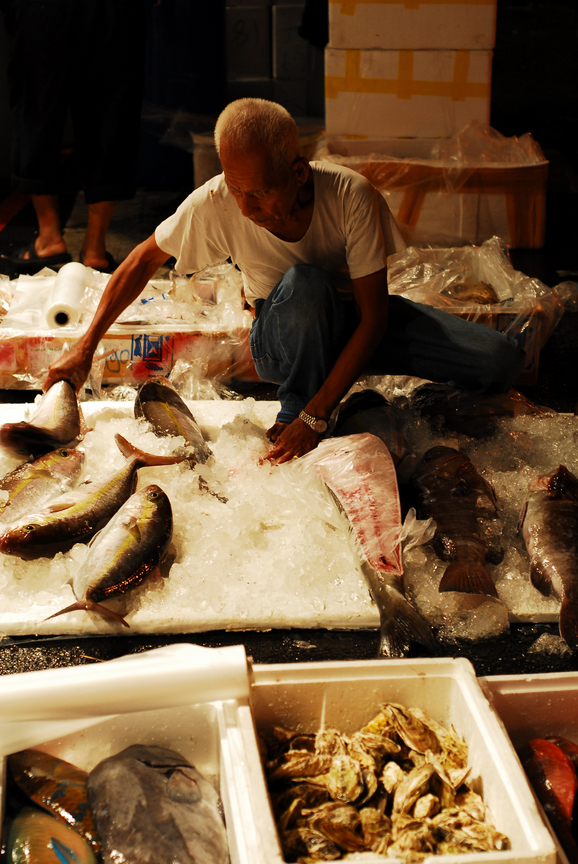 整理魚獲的老人