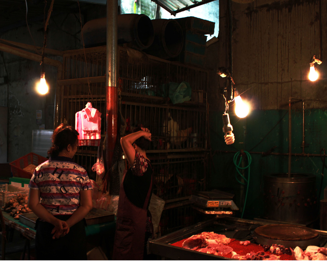 籠中籠,與聊天的女人