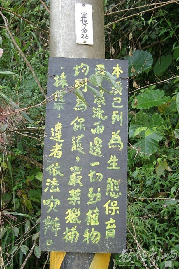 嘉義阿里山達邦達德安溪禁獵告示 直-縮小檔---數位---20051016---賴鵬智攝