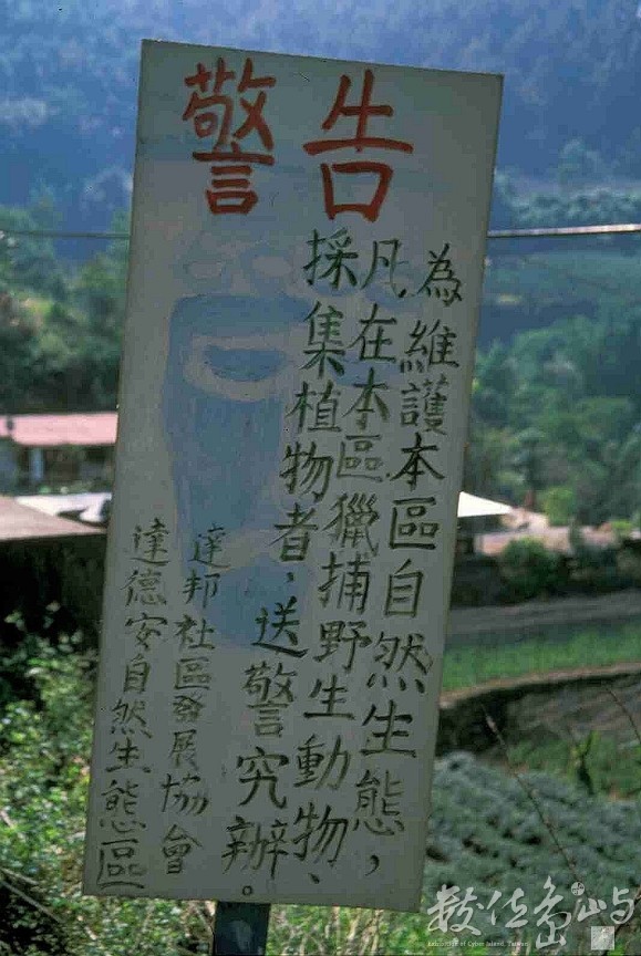 達邦村自行保育告示-阿里山達邦村-911113-賴鵬智