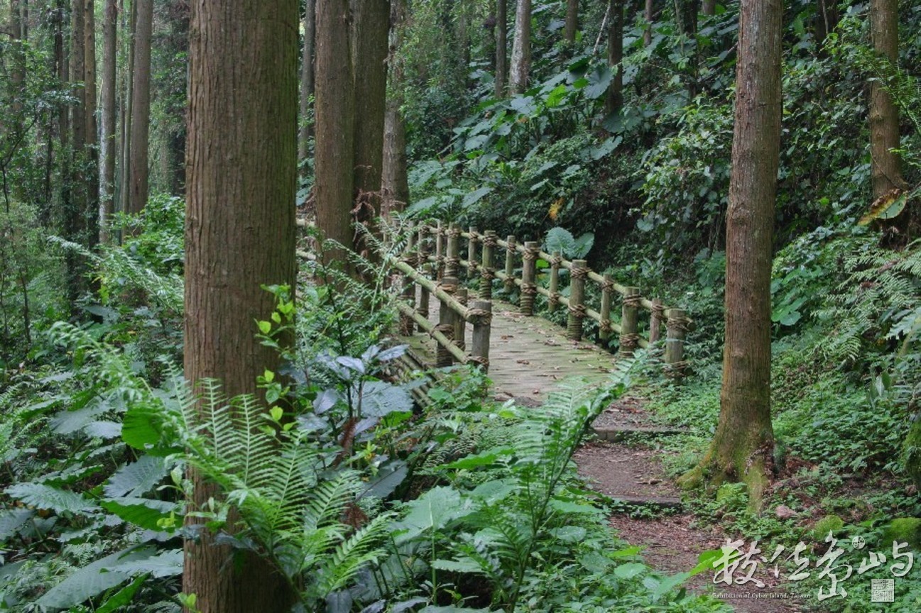 樂野福山古道-縮小檔-數位-20060515--賴鵬智攝